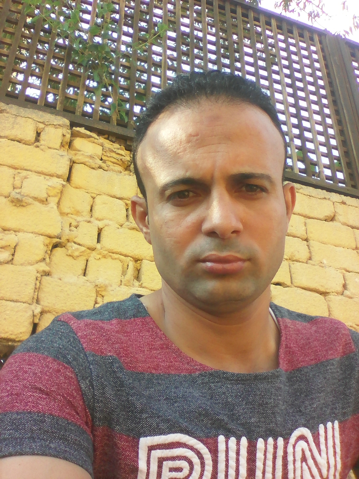 subr50 subr50_5TFAY